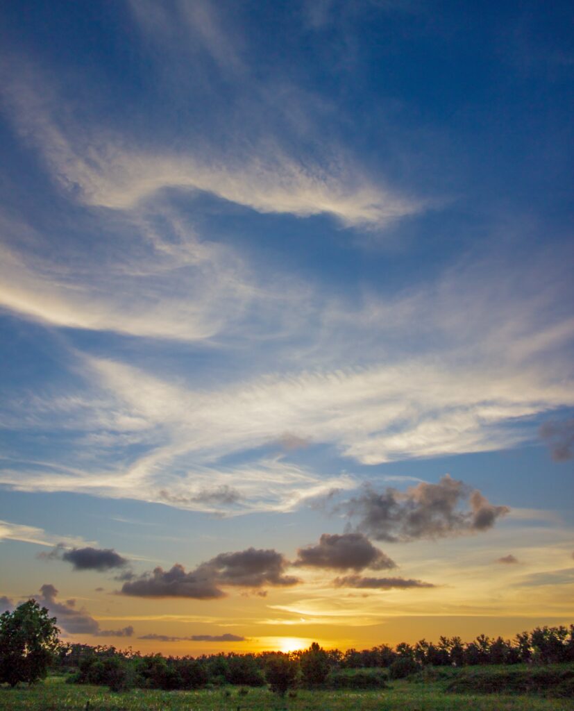 Sunset sky over the treeline